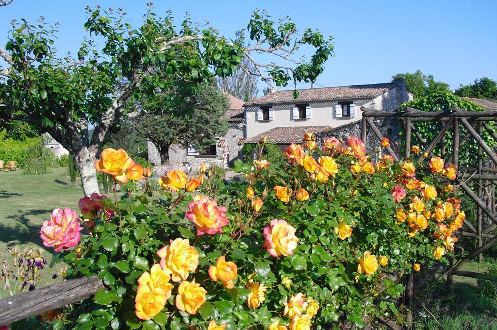 Luxury B&B Maison A Votre Sante, In Bordeaux Wine Region Savignac-de-Duras Εξωτερικό φωτογραφία
